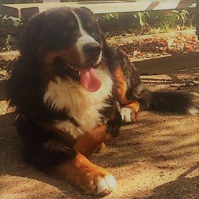 Largo paradise du Domaine du Lanthenay