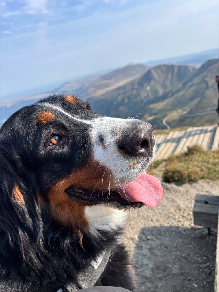 Una matina des Légendes de Maika