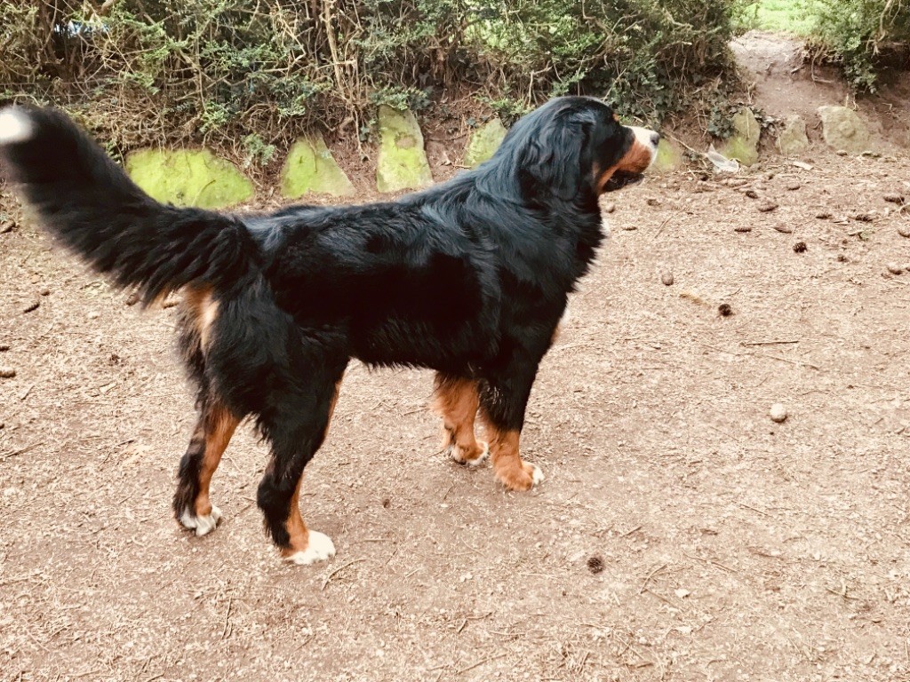 Largo